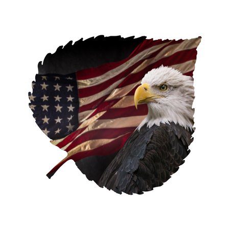NEXT INNOVATIONS Small American Eagle Aspen Leaf Wall Art 101421007-AMERICANEAGLE